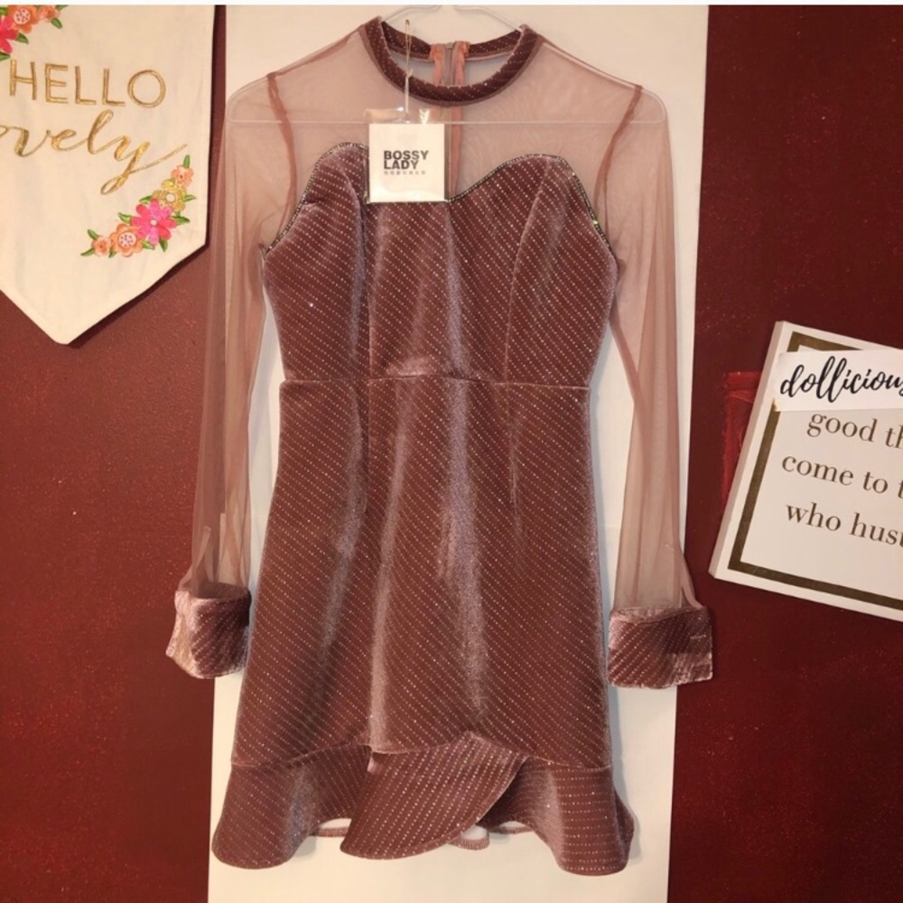 NWT dress size 4 women’s pink sheer glitter